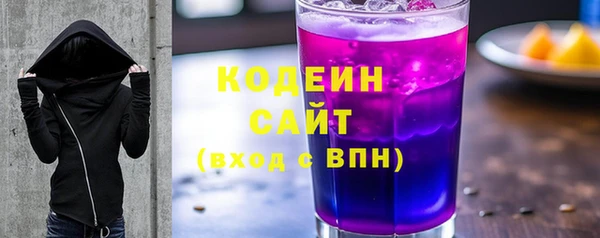 индика Нягань