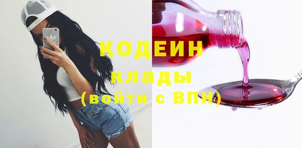 индика Нягань