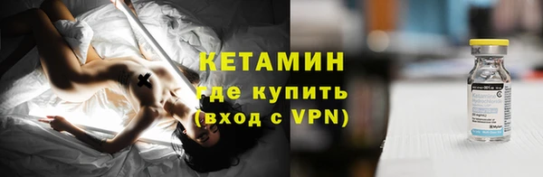 индика Нягань
