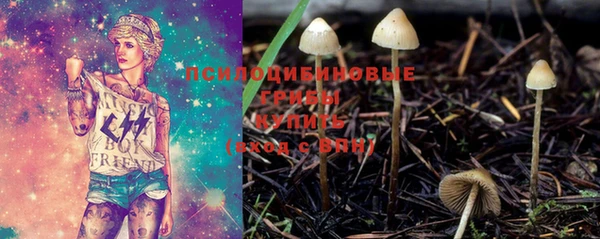 индика Нягань