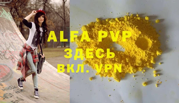 индика Нягань