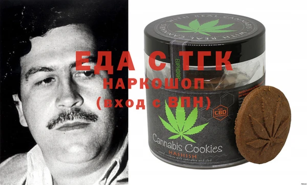 индика Нягань