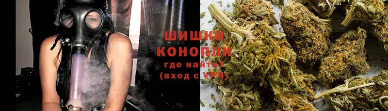 как найти   Новая Ляля  Канабис THC 21% 